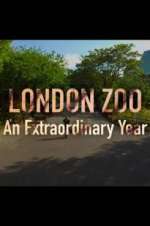 Watch London Zoo: An Extraordinary Year M4ufreemovies