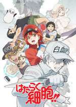 Watch Cells at Work! M4ufreemovies