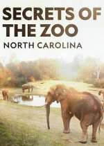 Watch Secrets of the Zoo: North Carolina M4ufreemovies