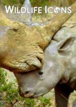 Watch Wildlife Icons M4ufreemovies