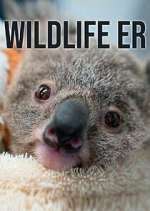 Watch Wildlife ER M4ufreemovies