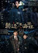 Watch Winter Begonia M4ufreemovies