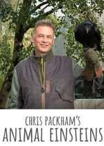 Watch Chris Packham's Animal Einsteins M4ufreemovies