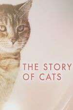 Watch The Story of Cats M4ufreemovies