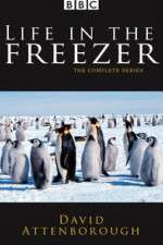 Watch Life in the Freezer M4ufreemovies