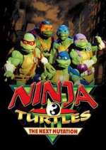 Watch Ninja Turtles: The Next Mutation M4ufreemovies