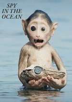 Watch Spy in the Ocean M4ufreemovies
