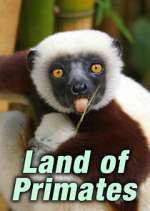 Watch Land of Primates M4ufreemovies