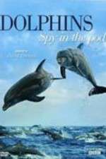 Watch Dolphins: Spy in the Pod M4ufreemovies