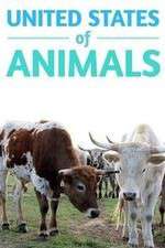 Watch United States of Animals M4ufreemovies