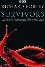 Watch Survivors: Nature's Indestructible Creatures M4ufreemovies