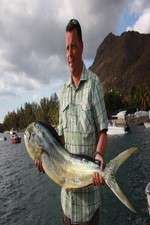 Watch King Fishers M4ufreemovies