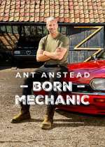 Watch Ant Anstead: Born Mechanic M4ufreemovies