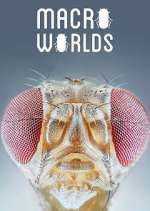 Watch Macro Worlds M4ufreemovies