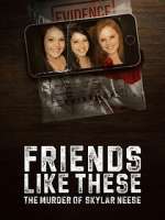 Watch Friends Like These: The Murder of Skylar Neese M4ufreemovies