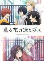 Watch Kaoru Hana wa Rin to Saku M4ufreemovies