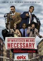 Watch By Whatever Means Necessary: The Times of Godfather of Harlem M4ufreemovies