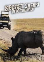 Watch Secret Safari: Into the Wild M4ufreemovies