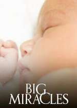 Watch Big Miracles M4ufreemovies