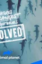 Watch Nature\'s Strangest Mysteries: Solved M4ufreemovies