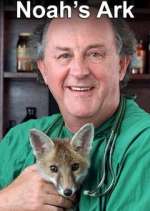 Watch Noah's Ark M4ufreemovies