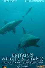 Watch Britain's Whales and Sharks M4ufreemovies