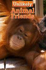 Watch Unlikely Animal Friends M4ufreemovies