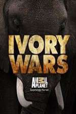 Watch Ivory Wars M4ufreemovies