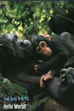 Watch Hello World! M4ufreemovies