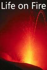 Watch Life on Fire M4ufreemovies