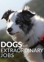Watch Dogs with Extraordinary Jobs M4ufreemovies