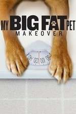 Watch My Big Fat Pet Makeover M4ufreemovies
