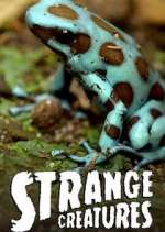 Watch Strange Creatures M4ufreemovies