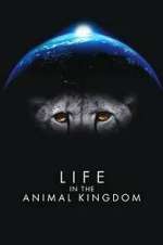 Watch Life in the Animal Kingdom M4ufreemovies