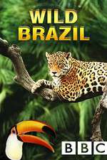 Watch Wild Brazil M4ufreemovies