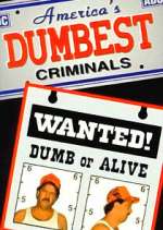 Watch America\'s Dumbest Criminals M4ufreemovies