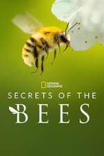Watch Secrets of the Bees M4ufreemovies