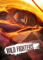 Watch Wild Fighters M4ufreemovies