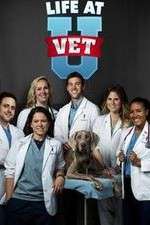 Watch Life at Vet U M4ufreemovies