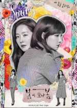 Watch Spring Turns to Spring M4ufreemovies