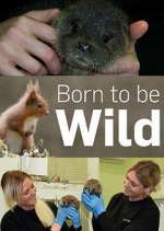 Watch Born to Be Wild M4ufreemovies