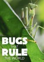 Watch Bugs that Rule the World M4ufreemovies