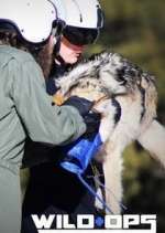 Watch Wild Ops M4ufreemovies