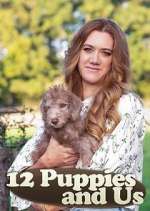 Watch 12 Puppies and Us M4ufreemovies