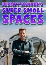 Watch Dermot Bannon's Super Small Spaces M4ufreemovies
