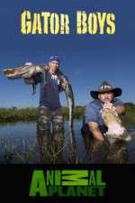 Watch Gator Boys M4ufreemovies