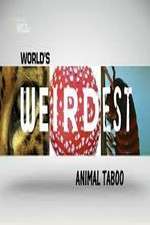 Watch Wild Worlds Weirdest Animals Taboo M4ufreemovies