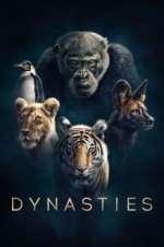 Watch Dynasties M4ufreemovies