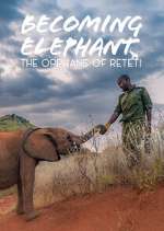 Watch Becoming Elephant: The Orphans Of Reteti M4ufreemovies
