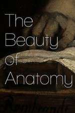 Watch The Beauty of Anatomy M4ufreemovies
